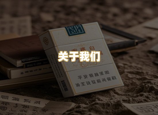 关于我们